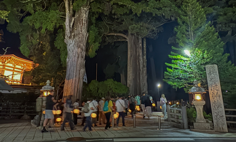 お逮夜ナイトウォーク