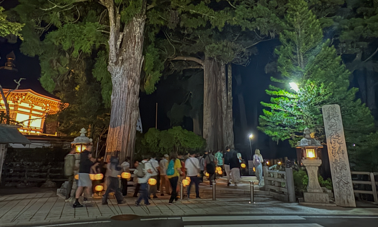 お逮夜ナイトウォーク